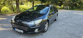 Peugeot 407 sw - 6