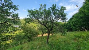 Výrazná zľava  pozemok na predaj, Banská Štiavnica. - 6