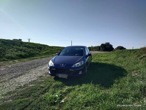 Peugeot 407 - 6