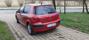 Peugeot 307 - 6