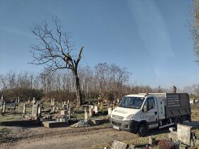 Výrub a ošetrenie stromov, frézovanie pňov - 6