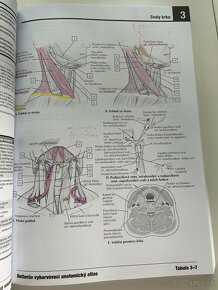 Netterov vyfarbovací anatomický atlas - 6