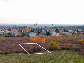 TOREA - BUDÚCI STAVEBNÝ POZEMOK NA PREDAJ - PEZINOK, MUŠKÁT - 6