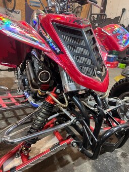 Yamaha raptor 660 customs - 6