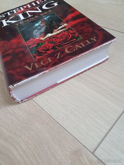 Stephen King - Temna vez (1-7) - 6