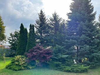 Rodinný dom s rovinatým pozemkom Veľké Kapušany, 79 km od KE - 6