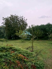 Veľký rodinný dom s pozemkom a podnikateľským potenciálom. - 6