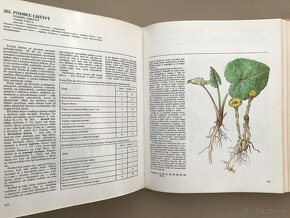 Romboid, Krátky slovník slov. jazyka, Atlas liečivých rastlí - 6