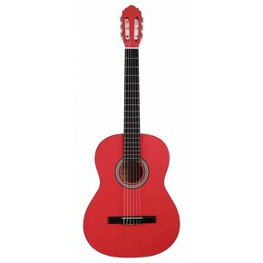 klasická gitara 4/4  Salvdor Cortez s nylonovými strunami - 6