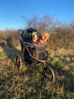 Kočík pre psa PetBuggy do 23 Kg - 6