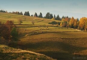 Predám pozemok v prírode-Detvianska Huta - 6