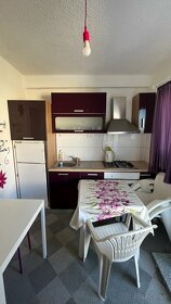 Samostatne stojaci dom so 4 apartmánmi a garážou - 6