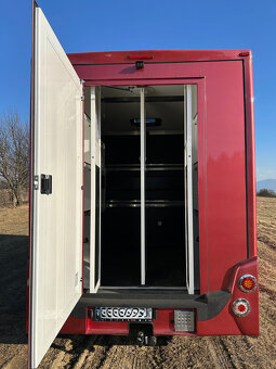 RENAULT MASTER 2,3 l prepravnik na kone - 6