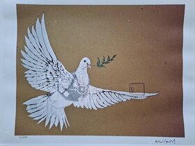 Banksy - Holubica Mieru (Palestína), č. 012/250 - 6