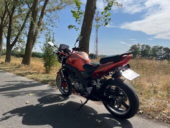 Suzuki SV 650 - 6