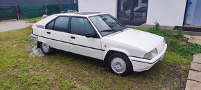 Citroen BX 1.9d - 6