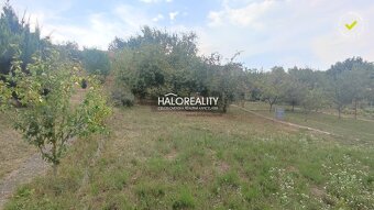 HALO reality - REZERVOVANÉ - Predaj, chata Bánovce nad Bebra - 6