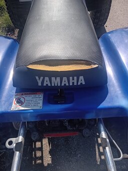 Yamaha Warrior 350 - 6