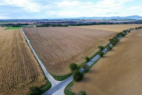 Orná pôda na predaj v obci Zvončín pri Trnave - 6