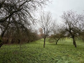 Nové Rodinný dom na predaj, Bátovce okres Levice - 6