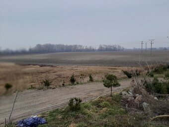 VILLA-RODINNÁ KÚRIA na PREDAJ pri meste Dunajská Streda - 6