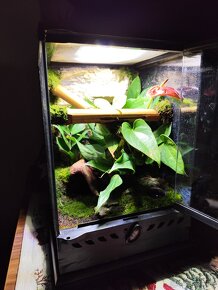 Terarium Exo terra - 6