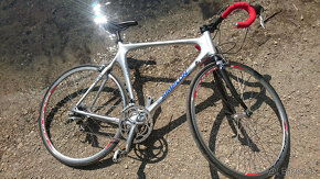 2x Celokarbon -Wilier Triestina Mortirolo (It)ultegra  -Simp - 6