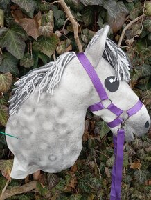 Hobby horse - 6