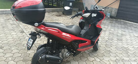 PREDAM GILERA NEXUS 300 - 6