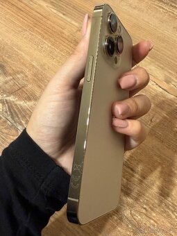 Iphone 13 Pro Gold 512GB - 6