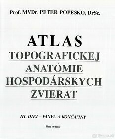 Atlas topografickej anatómie hospodárskych zvierat - Popesko - 6