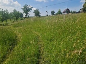 Predaj / Pozemok neďaleko mesta s ľahkou dostupnosťou na pol - 6