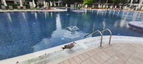 Predaj, 2 i apartmán v 5 SPA rezorte Barcelo Royal Beach, BU - 6