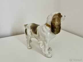 Porcelanovy pes springerspaniel Hutschenreuther - 6