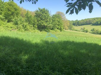 Pekný pozemok (3,2ha) na Hrušove okres Veľký Krtíš. - 6