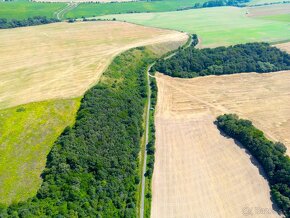 8.000 m2 POZEMOK vo výlučnom vlastníctve pri KE na chatku - 6