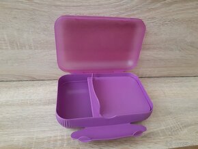 Tupperware Variant box - 6