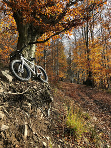 FATBIKE = Bicykel PRE FAJNŠMEKRA - 6