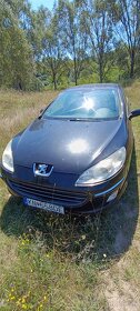 Peugeot 407 sedan - 6