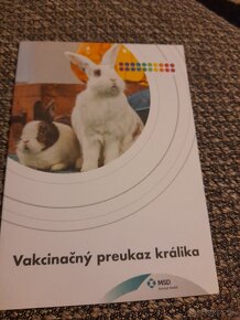 Zakrsly kralik - 6