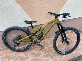 Specialized Stumpjumper EVO Comp Carbon - 6