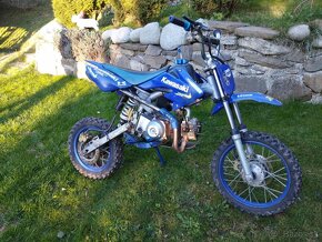 Predam pitbike 110 - 6