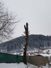 Rizikové pílenie,spiľovanie, stromov,strihanie živých plotov - 6