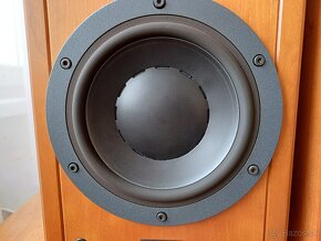 Dynaudio Contour 1.3 mkII - 6