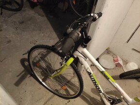 Dámsky bicykel - 6