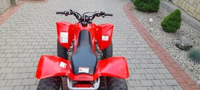 Honda Trx 250 2009 - 6