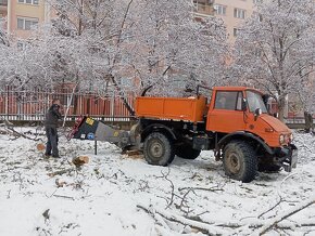 Čistenie pozemkov - štiepkovnie - Orez a výrub strmov - 6