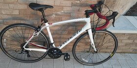 Specialized Ruby karbon - 6