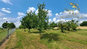 Rodinný dom s veľkým pozemkom na predaj, vhodné pre pravého  - 6