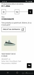 Yeezy 350 Salt - 6